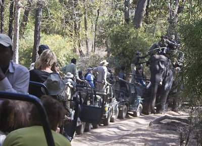 Lining up for elephant ride to the tiger show