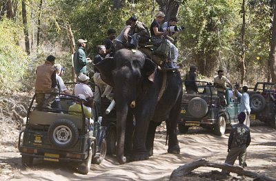 Going up the side of the jeep to the elephant back for the tiger show