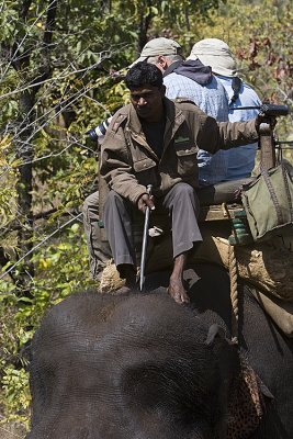 Mahat instructs elephant with foot taps