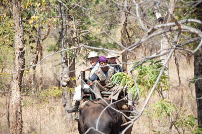 Joe and Tom on elephant