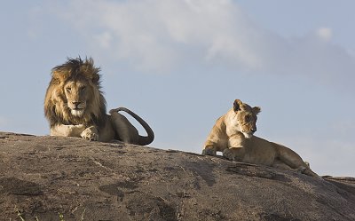 Male and female watch over land