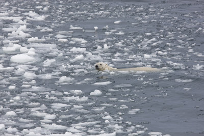 In the open water