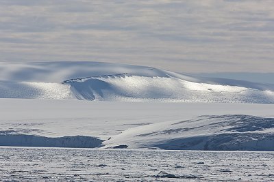 Ice fields