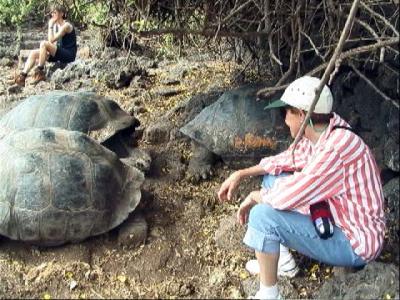 My wife,Joan and the Giant Tortoises