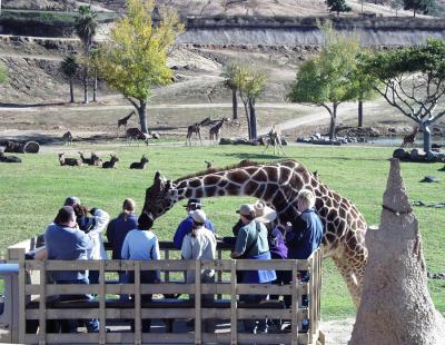 South African Animal Park