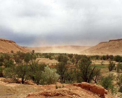 Desert oasis with wind storm behind