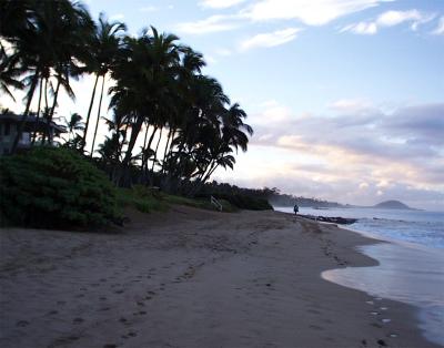  Dawn walk on MKM beach