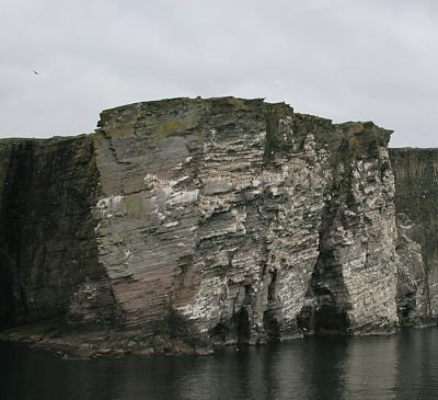 Magnificent Cliffs for nesting birds