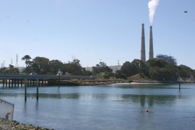 Duke plant with Estuary entrance on the right and  Boat harbor on left