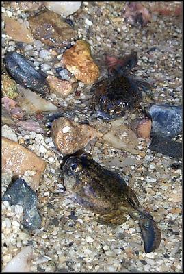 P0003869-small.jpg