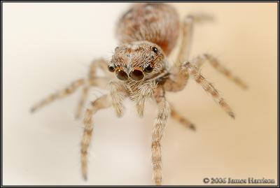IMG_3569-cloned-2-small.jpg