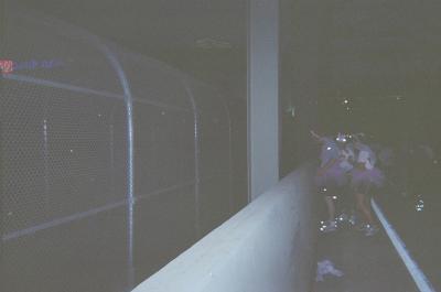 Two Girls and a Guy in Pink Pig Tutus