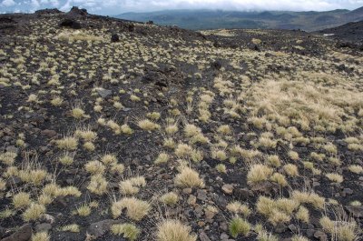 Etna (Piano Provenzana)