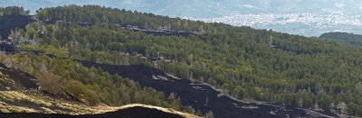 Etna (Piano Provenzana)