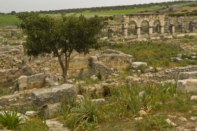 Volubilis