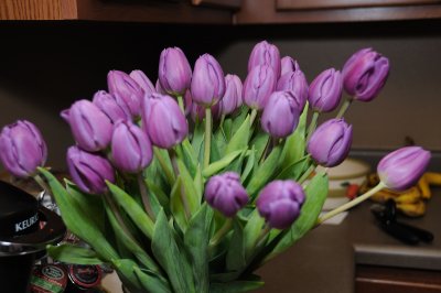 DSC_6696.JPG