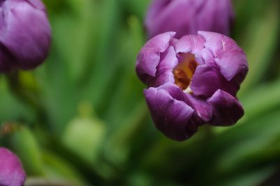 DSC_6699.JPG