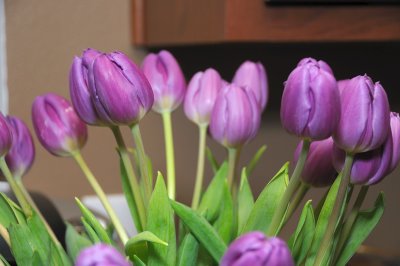 DSC_6700.JPG