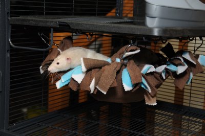 DSC_6706.JPG