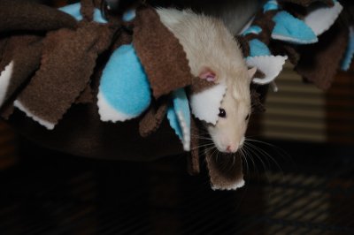 DSC_6707.JPG