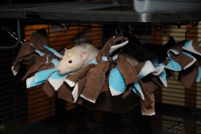 DSC_6710.JPG