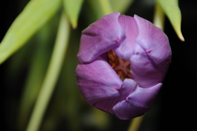 DSC_6716.JPG