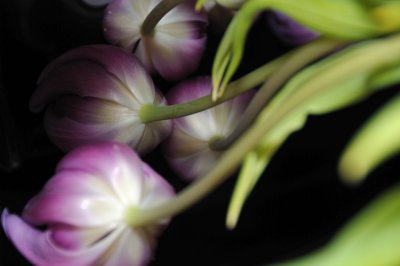 DSC_6718.JPG