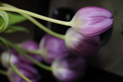 DSC_6723.JPG