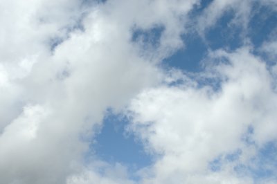 DSC_6724.JPG