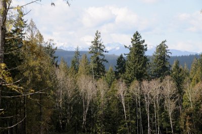 DSC_6725.JPG