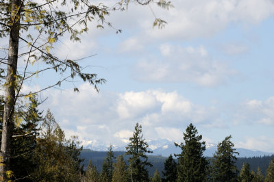 DSC_6726.JPG