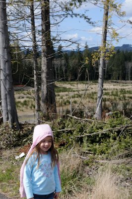 DSC_6731.JPG
