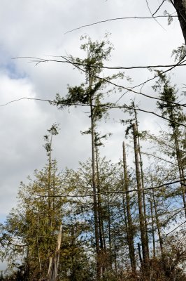 DSC_6738.JPG