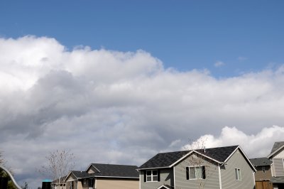 DSC_6788.JPG