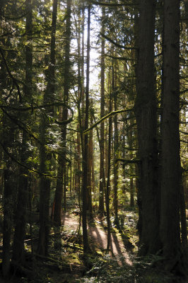 DSC_6902.JPG
