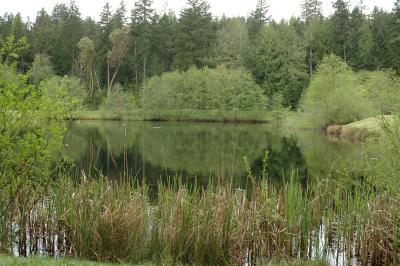 DSC_0618.jpg