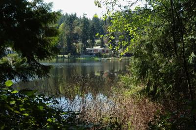 DSC_0699.jpg