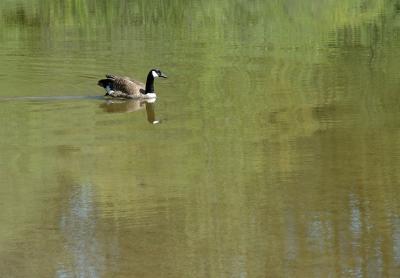 DSC_0749.jpg