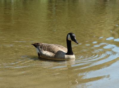 DSC_0759.jpg
