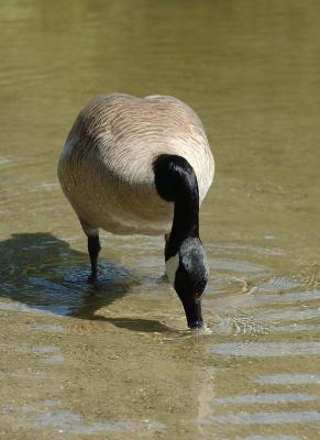 DSC_0764.jpg