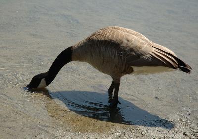 DSC_0780.jpg
