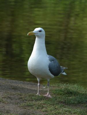DSC_1201.jpg