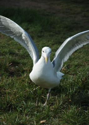 DSC_1203.jpg