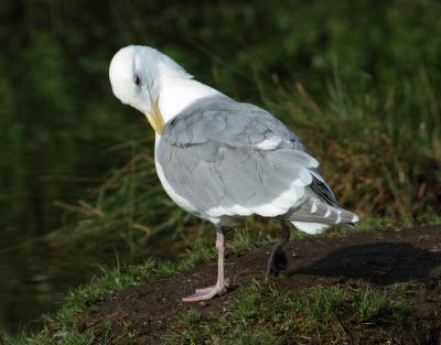DSC_1234.jpg
