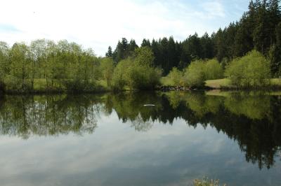 DSC_1261.jpg