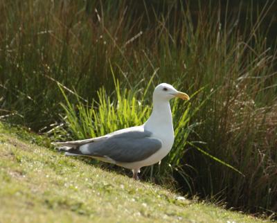 DSC_1262.jpg