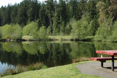 DSC_1263.jpg