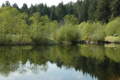 DSC_1267.jpg