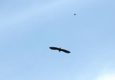 DSC_2634.jpg