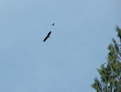 DSC_2636.jpg